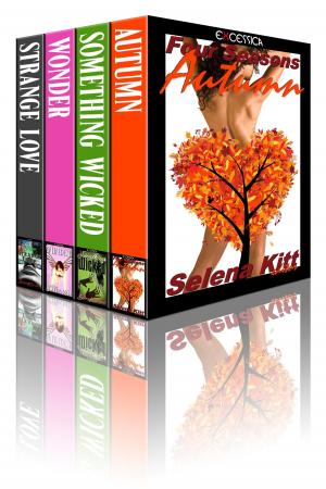 Cover of the book Excessica Anthology Box Set Autumn by Selena Kitt