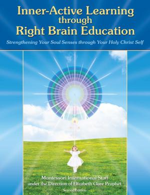 Book cover of Inner-Active Learning through Right Brain Education