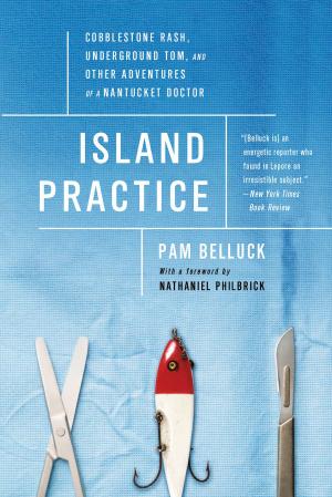 Cover of the book Island Practice by Natan Sharansky
