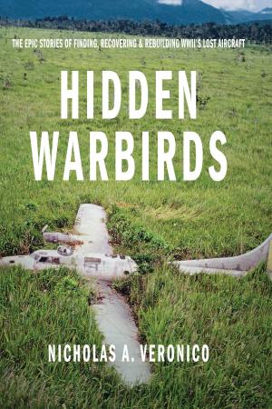 Book cover of Hidden Warbirds