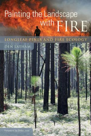 Cover of the book Painting the Landscape with Fire by Caroline Maun