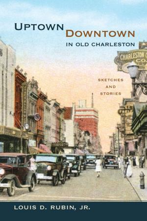 Book cover of Uptown/Downtown in Old Charleston