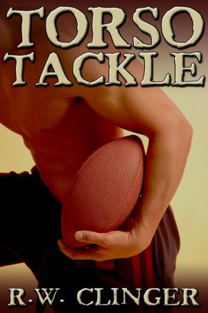 Cover of the book Torso Tackle by K.L. Noone