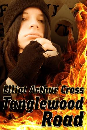Cover of the book Tanglewood Road by J. Tomas