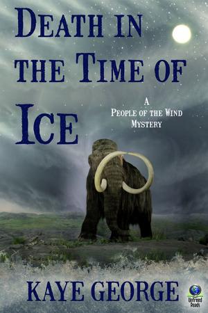 Cover of the book Death in the Time of Ice by Marsha Qualey