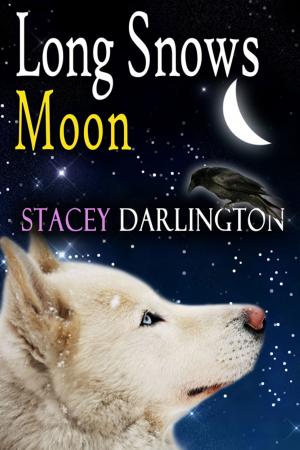 Cover of the book Long Snows Moon by David Chappuis, Michael Klinger