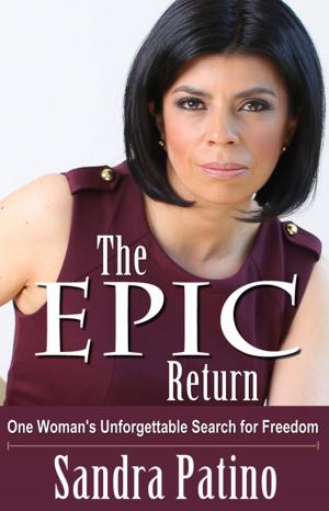 Cover of the book The Epic Return by Terri Levine, Ph.D.
