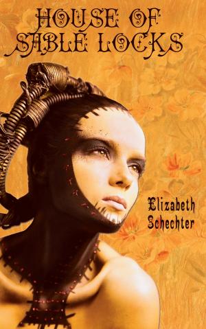 Cover of the book House of Sable Locks by Elizabeth Schechter