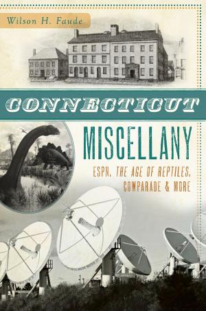 Cover of the book Connecticut Miscellany by David E. Robinson, Mary Ann DiSpirito