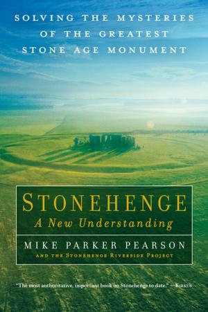 Book cover of Stonehenge - A New Understanding