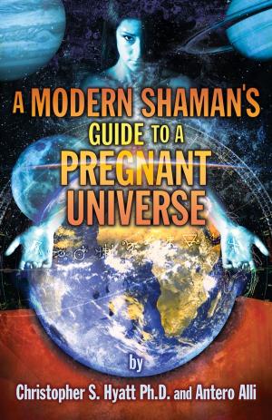 Cover of the book A Modern Shaman's Guide to a Pregnant Universe by Stephen Sennitt