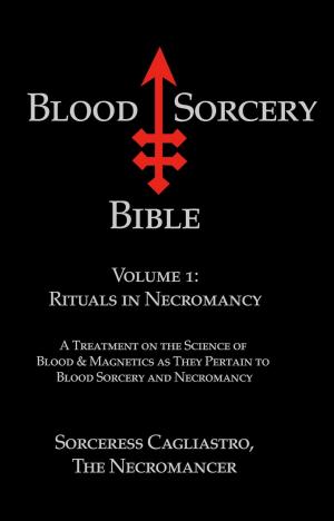 Cover of the book Blood Sorcery Bible Volume 1 by Christopher S. Hyatt, Nicholas Tharcher, S. Jason Black