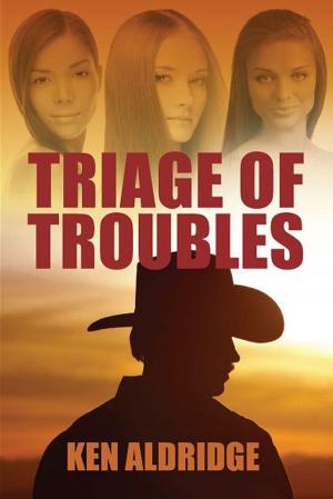 Cover of the book Triage of Troubles by William Hertling