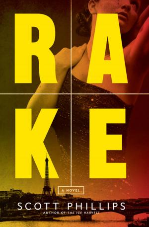 Cover of the book Rake by Shannon Burke