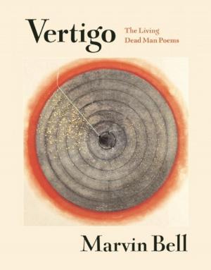 Cover of the book Vertigo by Jane Miller