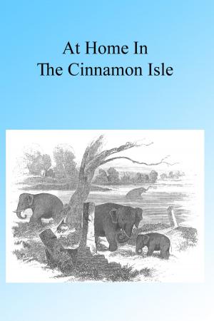 Cover of the book At Home in the Cinnamon Isle 1855 by A H Guernsey