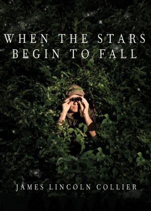 Cover of the book When the Stars Begin to Fall by Judith Van Gieson