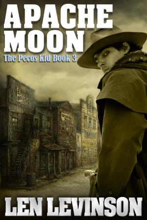 Cover of the book Apache Moon by Gregory Mcdonald