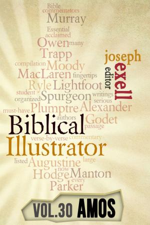 Book cover of The Biblical Illustrator - Pastoral Commentary on Amos