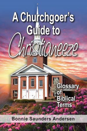 Cover of the book A Churchgoer's Guide to Christianeeze by Christopher Alan Anderson