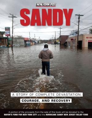 Cover of the book Sandy by Steve Richardson