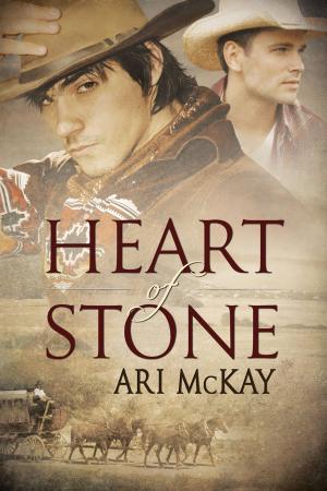 Cover of the book Heart of Stone by J.R. Loveless