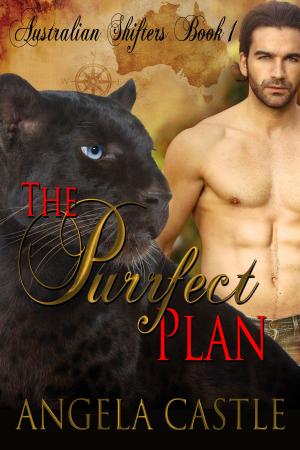Cover of the book The Purrfect Plan by Rebecca Siegel