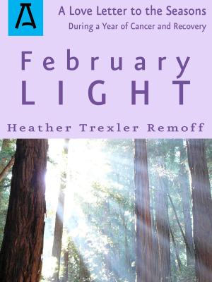 Cover of the book February Light by Stuart Wilson