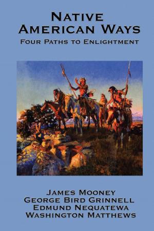 Book cover of Native American Ways