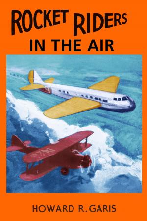 Cover of the book Rocket Riders in the Air by David Weber, John Ringo