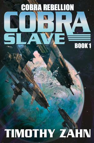Cover of the book Cobra Slave by P. C. Hodgell
