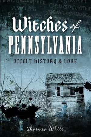Cover of the book Witches of Pennsylvania by Nathania A. Branch Miles, Monday M. Miles, Ryan J. Quick