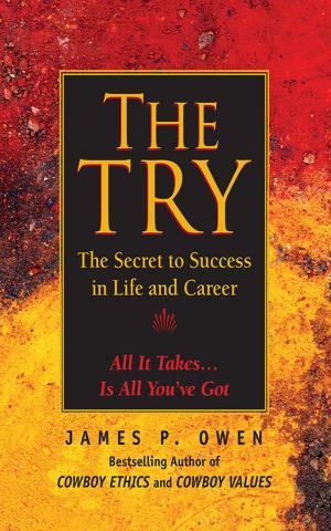 Cover of the book The Try by Mark Brewer