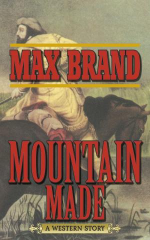 Cover of the book Mountain Made by Joanna Pruess, Battman