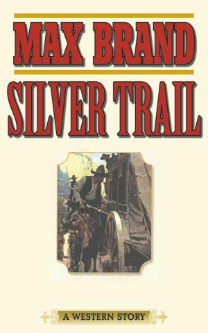 Cover of the book Silver Trail by Graham Tarrant