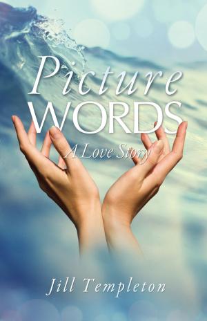 Cover of the book Picture Words by Lucky Stevens