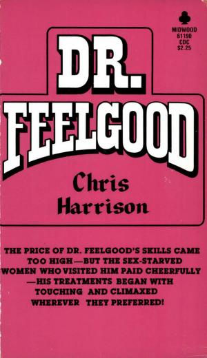 Cover of the book Dr. Feelgood by Kym Allison