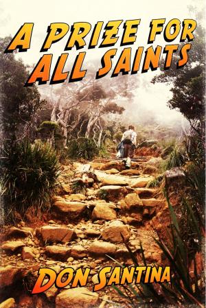 Book cover of A Prize for All Saints