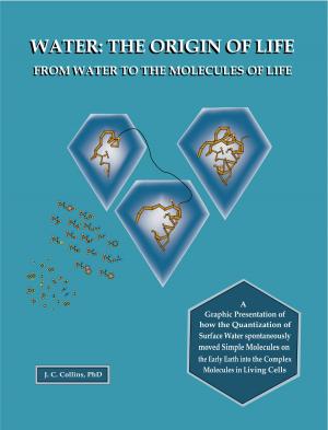 Cover of the book Water: The Origin of Life from Water to the Molecules of Life by Bill Parker