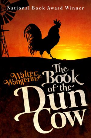 Cover of the book The Book of the Dun Cow by Ian Slater