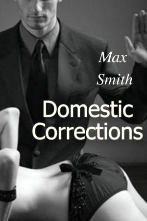 bigCover of the book Domestic Corrections by 
