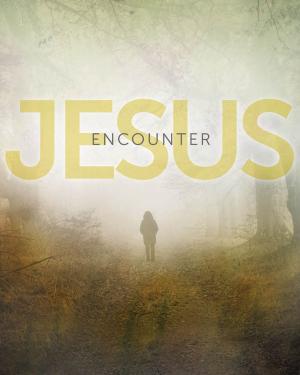 Cover of the book Encounter Jesus by Mark Benjamin, Matt LeRoy, J.D. Walt