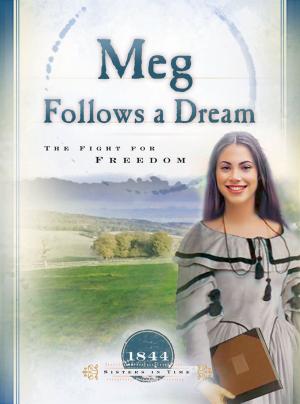 Cover of the book Meg Follows a Dream by Tim Baker