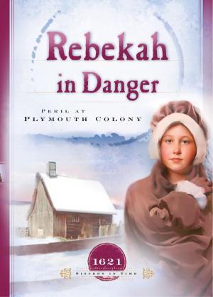 Cover of the book Rebekah in Danger by Susie Shellenberger, Kristin Weber