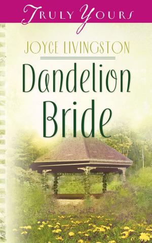 Cover of the book Dandelion Bride by Norma Jean Lutz