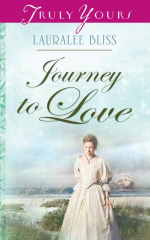Cover of the book Journey To Love by Rachel Druten