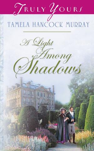 Cover of the book A Light Among Shadows by Rachel St. John-Gilbert