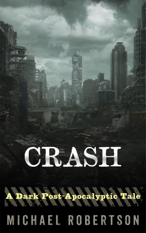 Cover of the book Crash by Kelly Riad