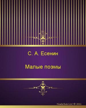 Book cover of Малые поэмы