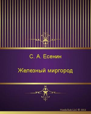 Cover of the book Железный миргород by Николай Михайлович Карамзин